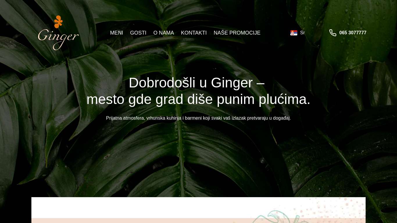 Ginger