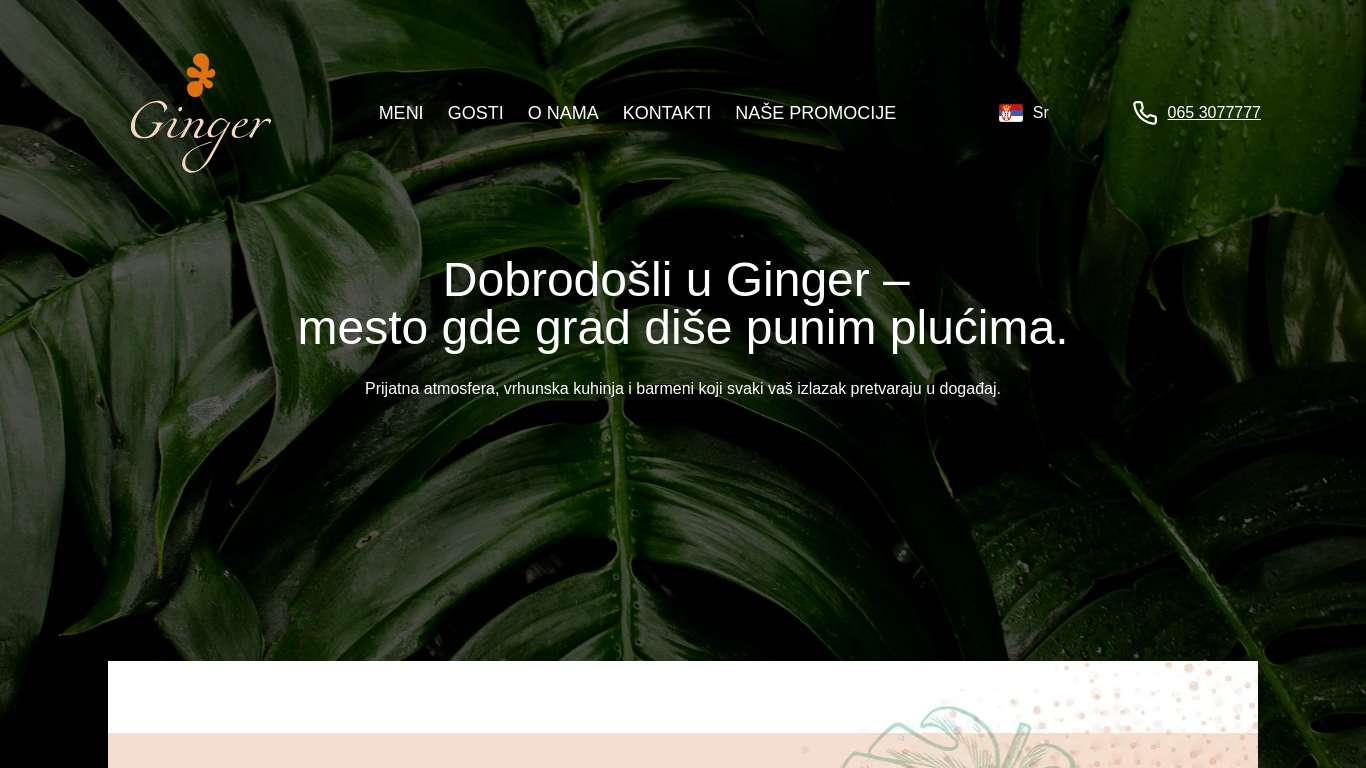 Ginger